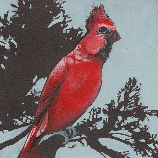 Cardinal print