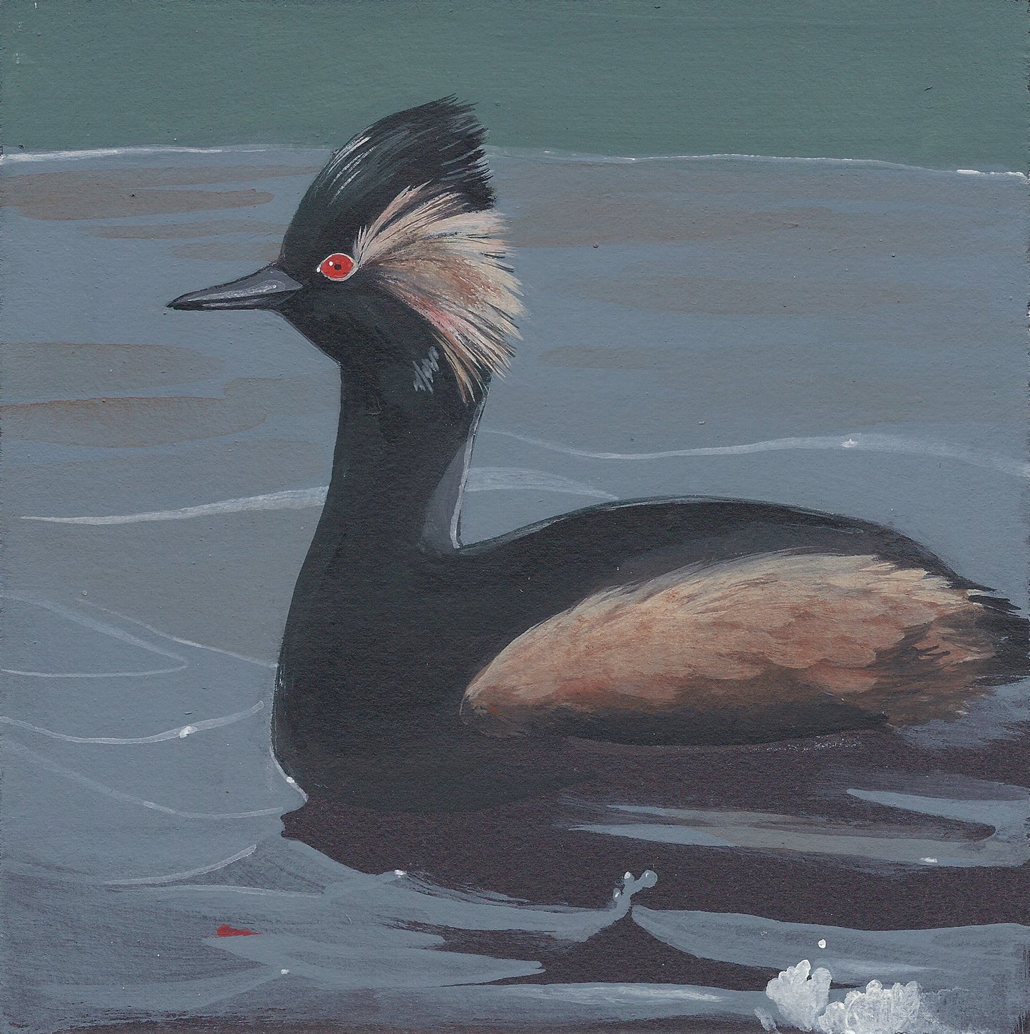 Horned Grebe print