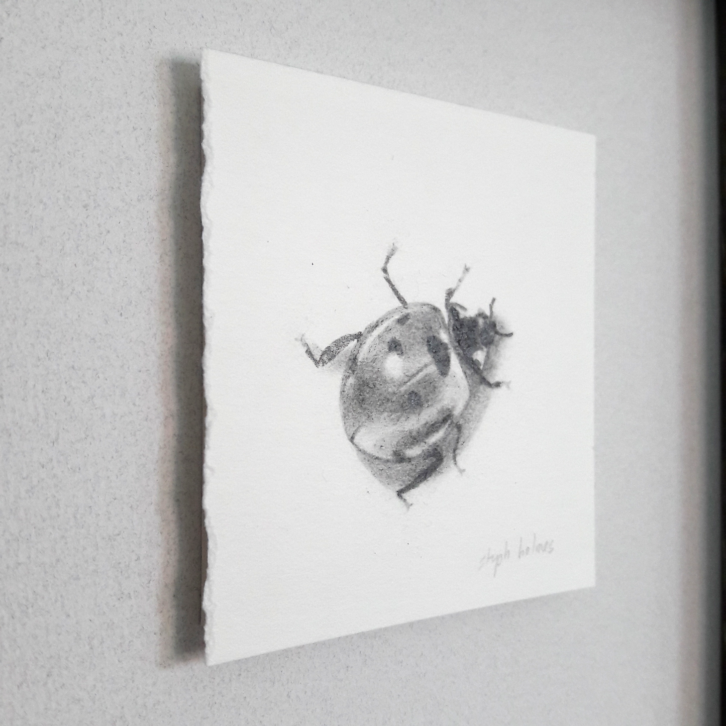 Ladybug II framed drawing