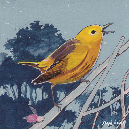 Yellow Warbler print